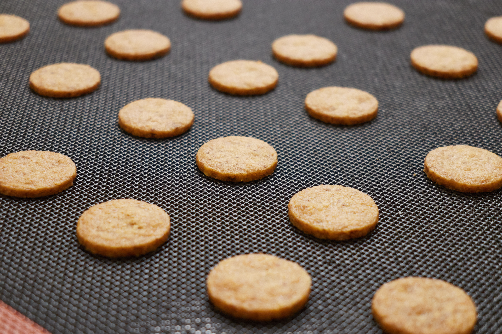 motorta2023_fazisfotok_050.jpg motorta2023_fazisfotok_050.jpg